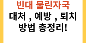 빈대 물린자국 대처 예방 퇴치방법 완벽정리